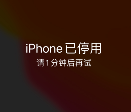 西安苹果手机维修分享:iPhone 显示“不可用”或“已停用”怎么办？还能保留数据吗？ 