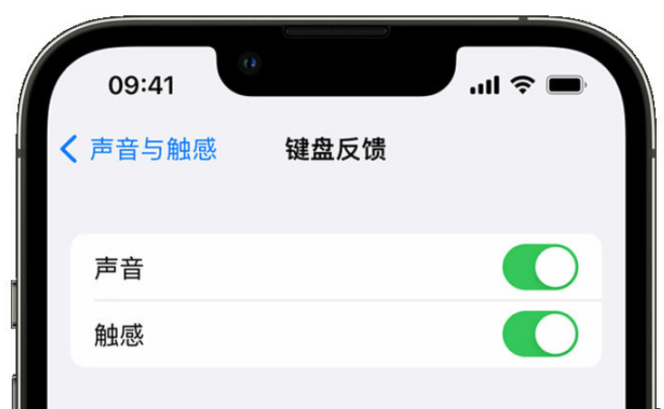 西安苹果手机维修分享iPhone 14触感键盘使用方法 