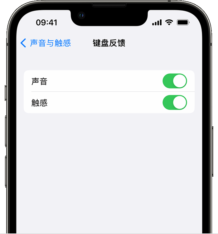 西安苹果14维修分享iPhone 14 系列机型如何开启键盘声音或触感反馈 