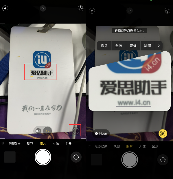 西安苹果手机维修分享升级iOS 16后如何通过相机翻译文本 