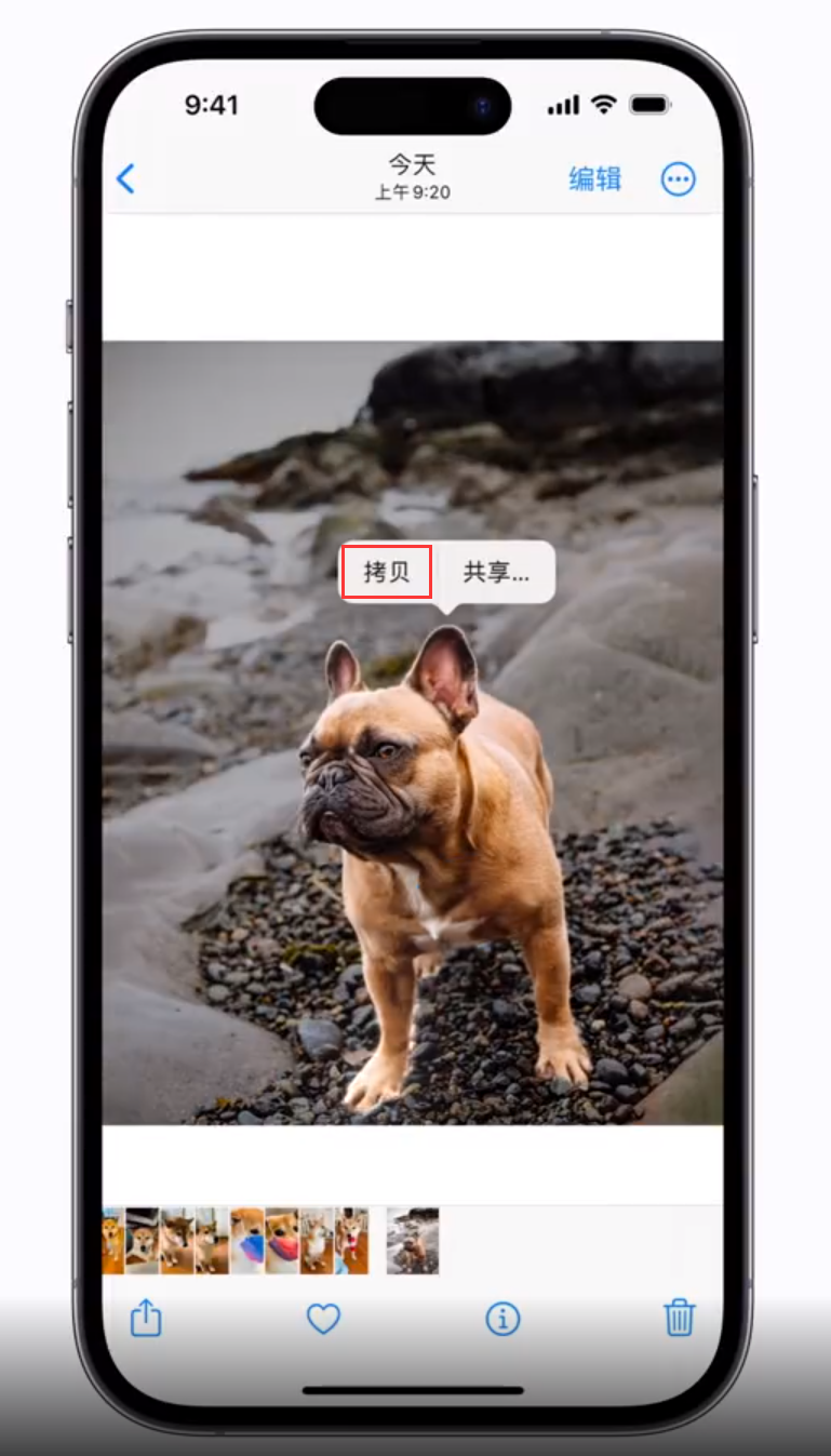西安苹果手机维修分享 iOS 16 自带一键抠图功能 