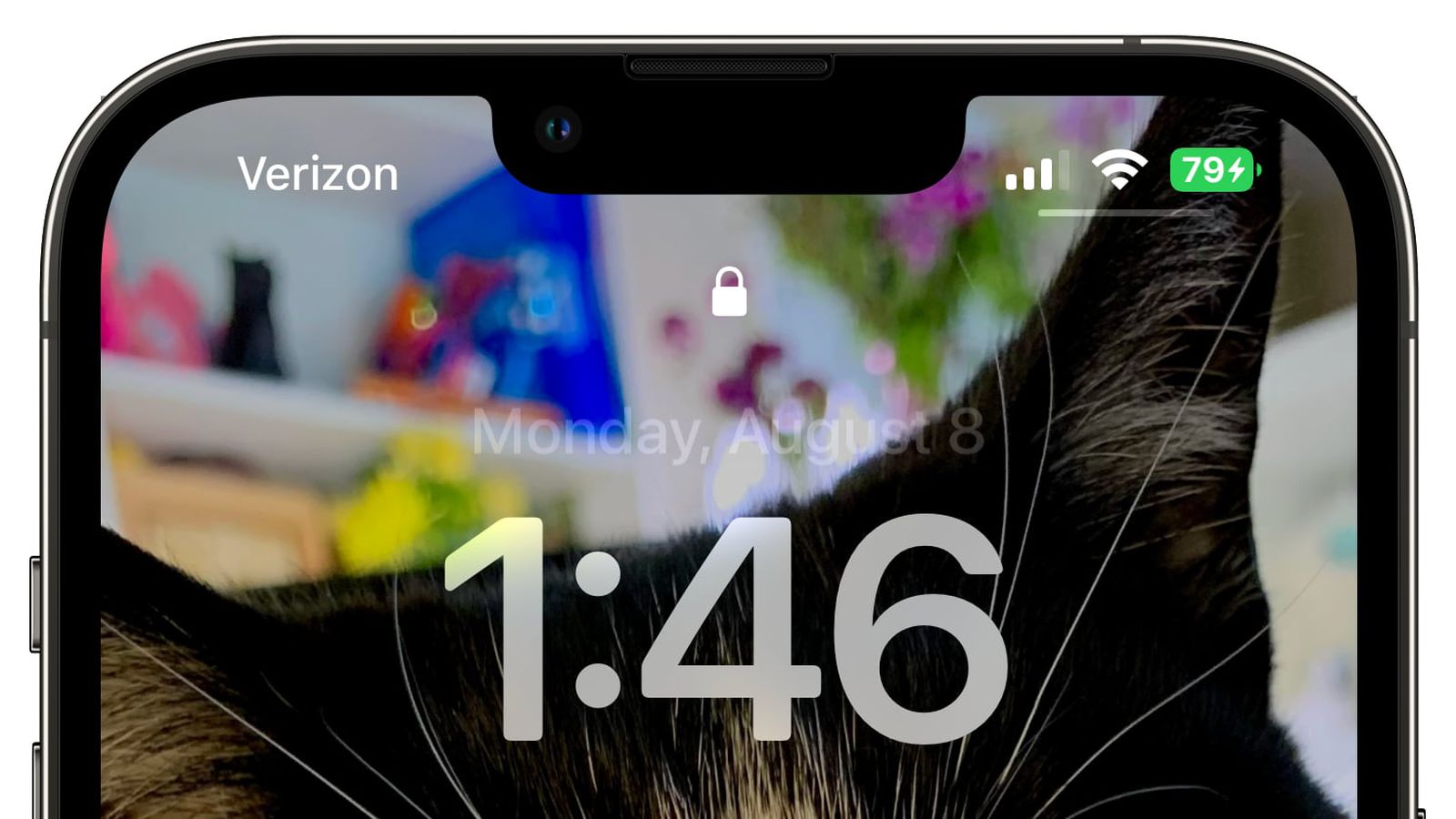 西安苹果手机维修分享iOS 16 beta 5 支持状态栏显示电池百分比，如何开启？支持哪些机型 