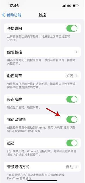 西安苹果手机维修分享iPhone手机如何设置摇一摇删除文字 