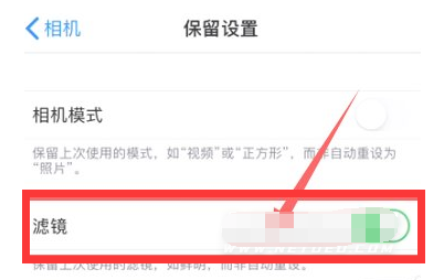 西安苹果13维修分享iPhone13拍照有绿点是怎么回事 
